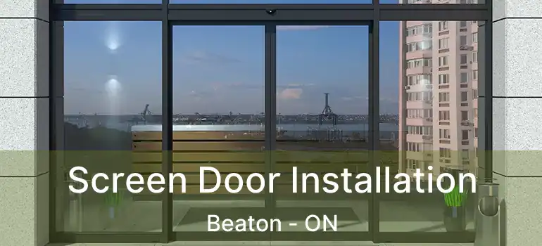  Screen Door Installation Beaton - ON