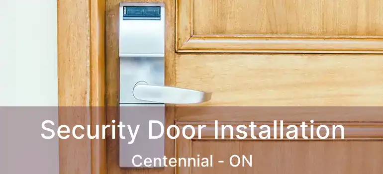 Security Door Installation Centennial - ON