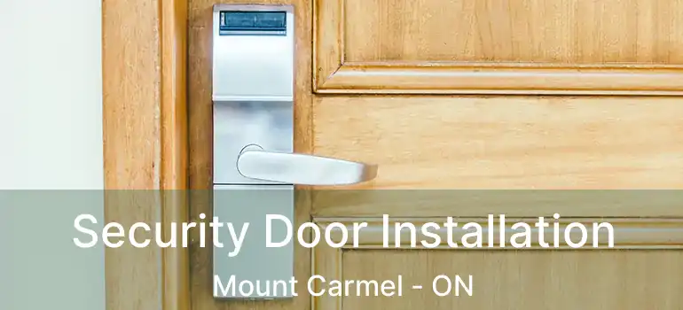 Security Door Installation Mount Carmel - ON