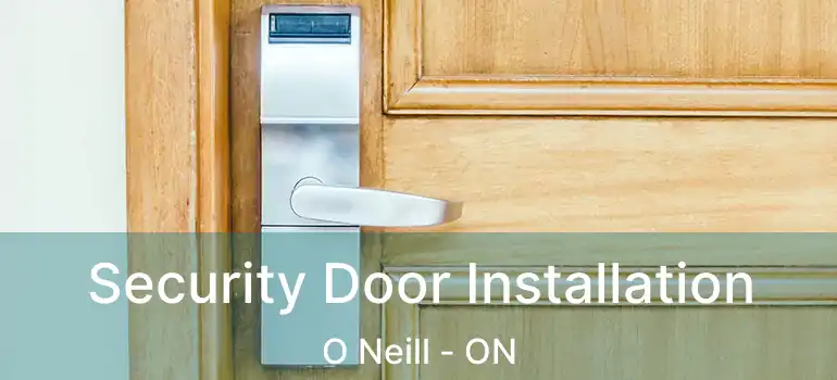 Security Door Installation O Neill - ON