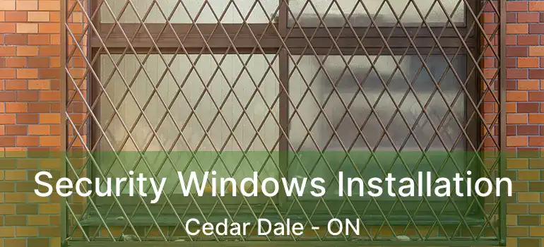 Security Windows Installation Cedar Dale - ON