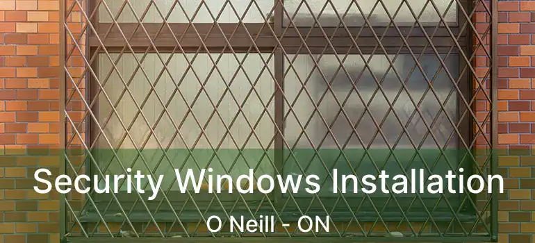Security Windows Installation O Neill - ON