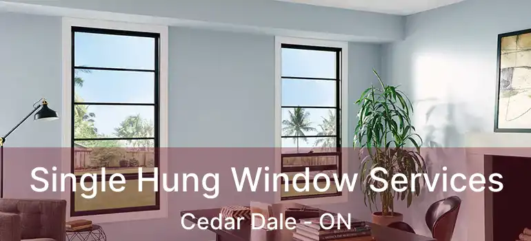  Single Hung Window Services Cedar Dale - ON