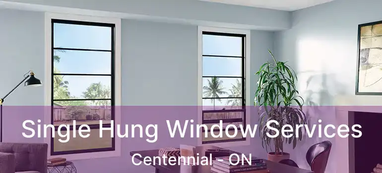 Single Hung Window Services Centennial - ON