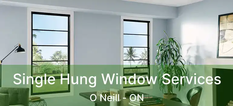  Single Hung Window Services O Neill - ON