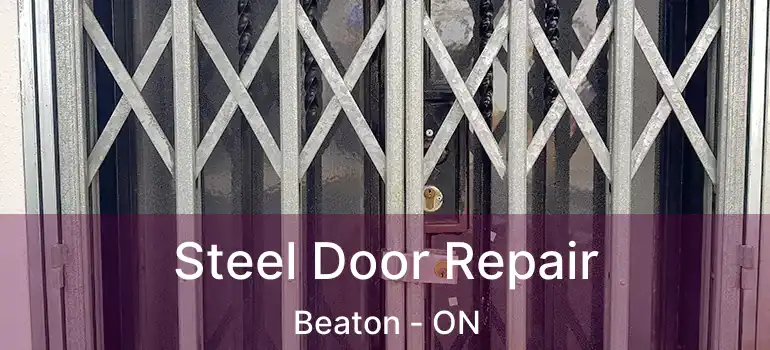  Steel Door Repair Beaton - ON