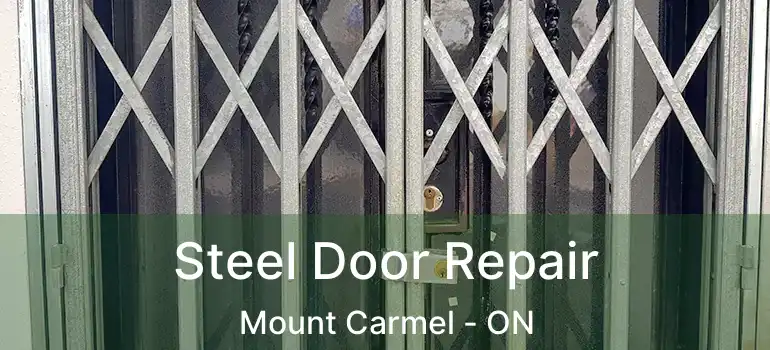 Steel Door Repair Mount Carmel - ON