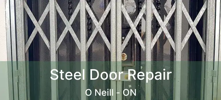  Steel Door Repair O Neill - ON
