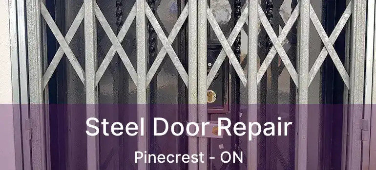 Steel Door Repair Pinecrest - ON