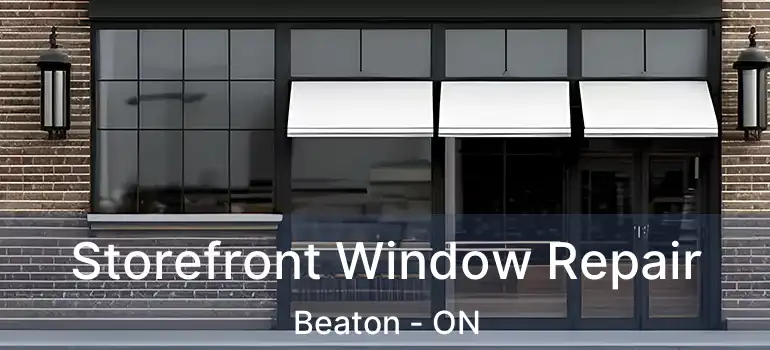  Storefront Window Repair Beaton - ON
