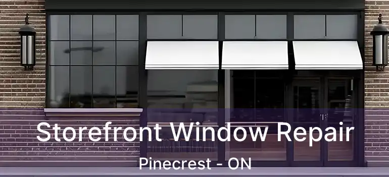 Storefront Window Repair Pinecrest - ON