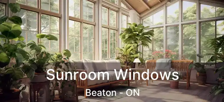  Sunroom Windows Beaton - ON