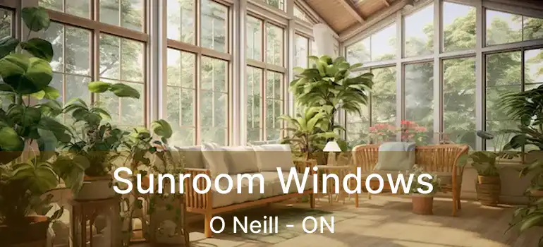  Sunroom Windows O Neill - ON