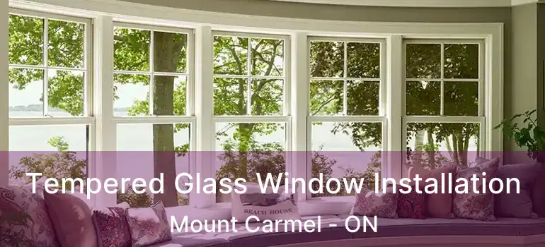 Tempered Glass Window Installation Mount Carmel - ON