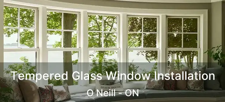  Tempered Glass Window Installation O Neill - ON