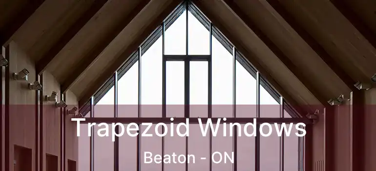  Trapezoid Windows Beaton - ON