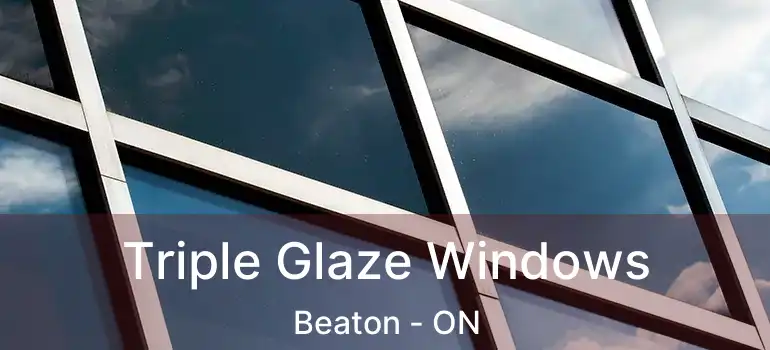 Triple Glaze Windows Beaton - ON