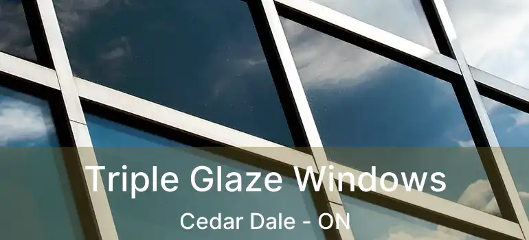 Triple Glaze Windows Cedar Dale - ON