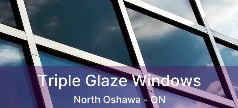  Triple Glaze Windows North Oshawa - ON
