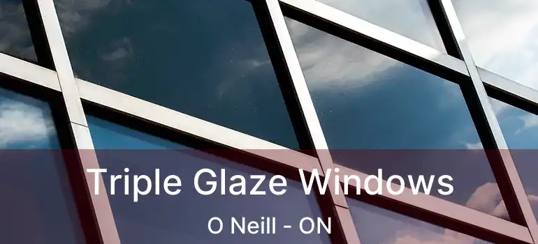 Triple Glaze Windows O Neill - ON