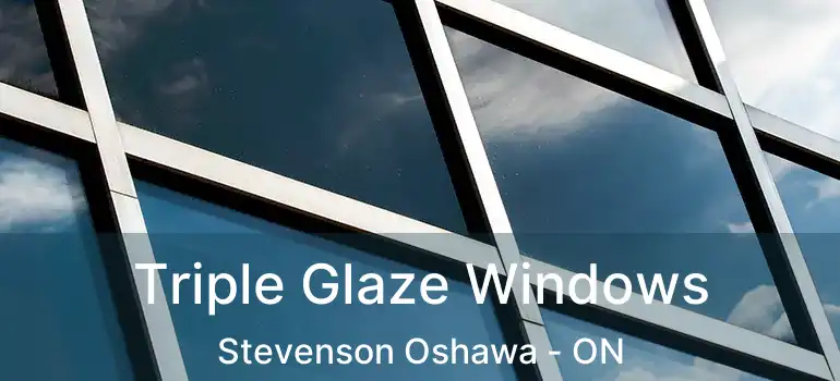  Triple Glaze Windows Stevenson Oshawa - ON