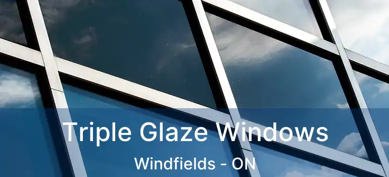 Triple Glaze Windows Windfields - ON