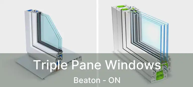  Triple Pane Windows Beaton - ON
