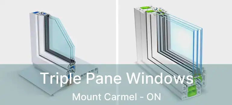 Triple Pane Windows Mount Carmel - ON
