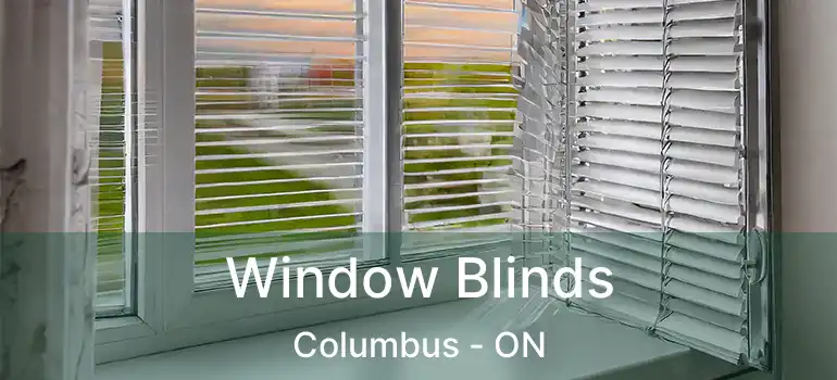  Window Blinds Columbus - ON
