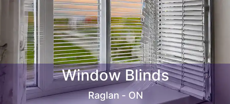 Window Blinds Raglan - ON