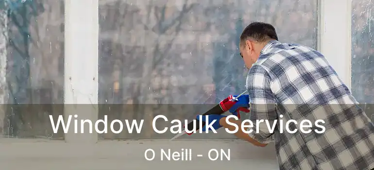 Window Caulk Services O Neill - ON
