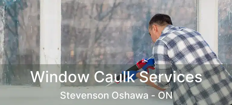  Window Caulk Services Stevenson Oshawa - ON