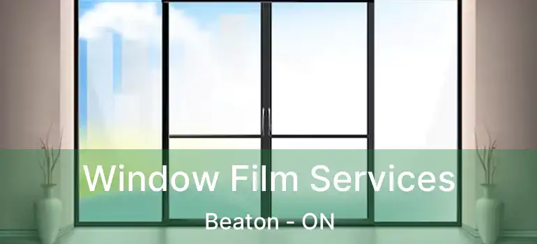  Window Film Services Beaton - ON