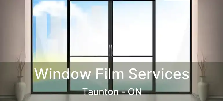  Window Film Services Taunton - ON