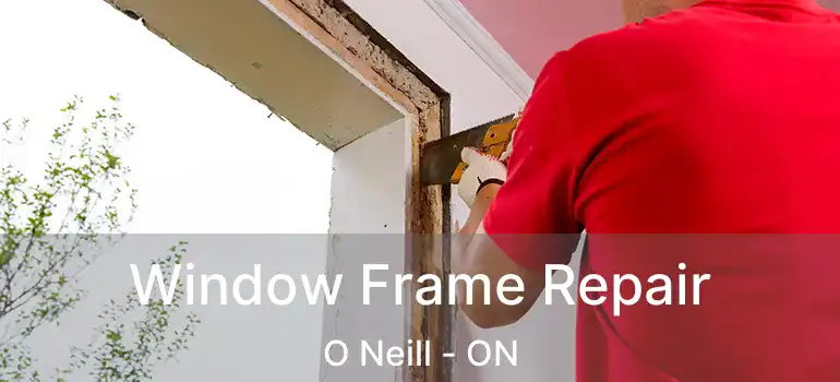 Window Frame Repair O Neill - ON