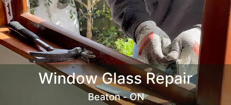 Window Glass Repair Beaton - ON