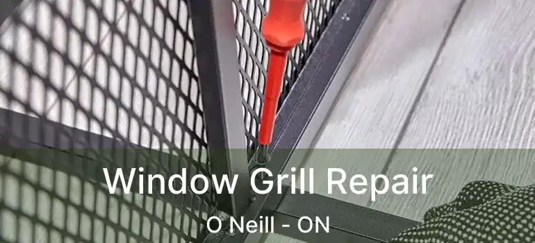 Window Grill Repair O Neill - ON