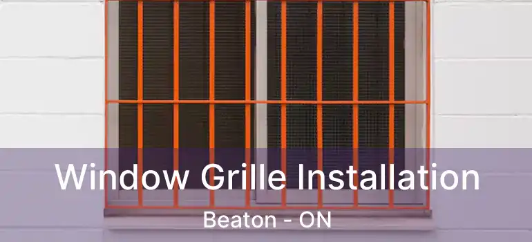  Window Grille Installation Beaton - ON