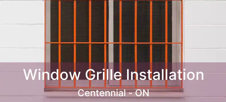  Window Grille Installation Centennial - ON