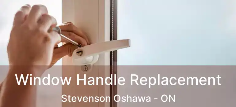  Window Handle Replacement Stevenson Oshawa - ON
