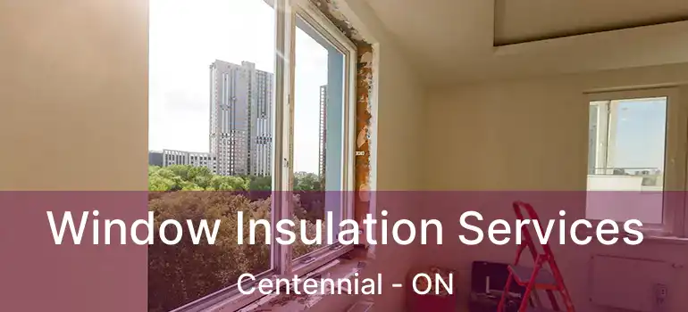  Window Insulation Services Centennial - ON