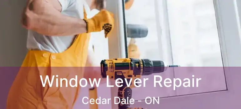 Window Lever Repair Cedar Dale - ON