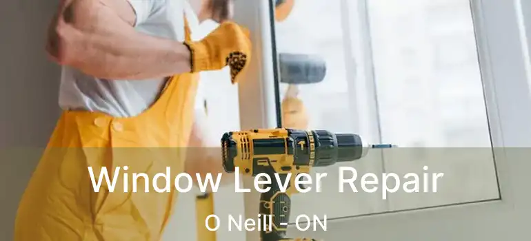 Window Lever Repair O Neill - ON