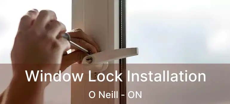  Window Lock Installation O Neill - ON