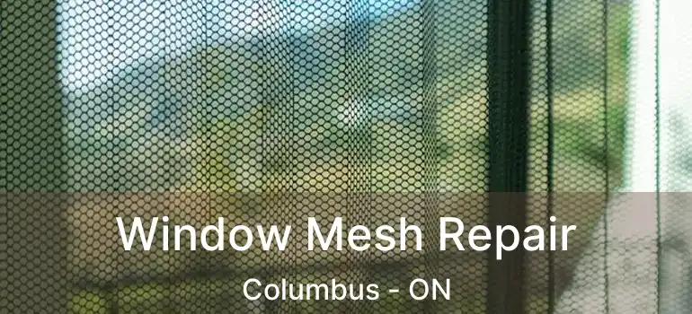  Window Mesh Repair Columbus - ON