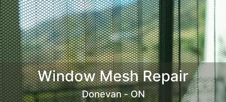 Window Mesh Repair Donevan - ON