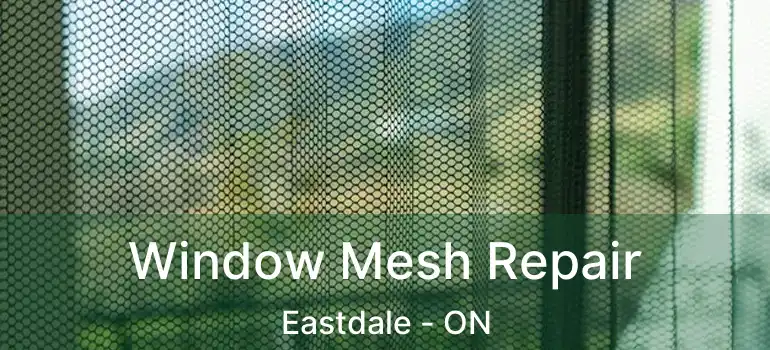 Window Mesh Repair Eastdale - ON