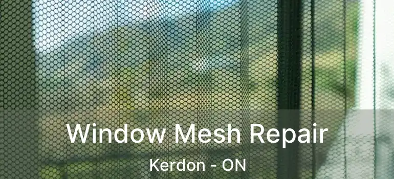  Window Mesh Repair Kerdon - ON