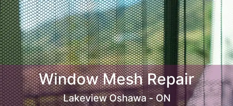  Window Mesh Repair Lakeview Oshawa - ON