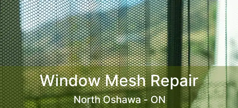  Window Mesh Repair North Oshawa - ON